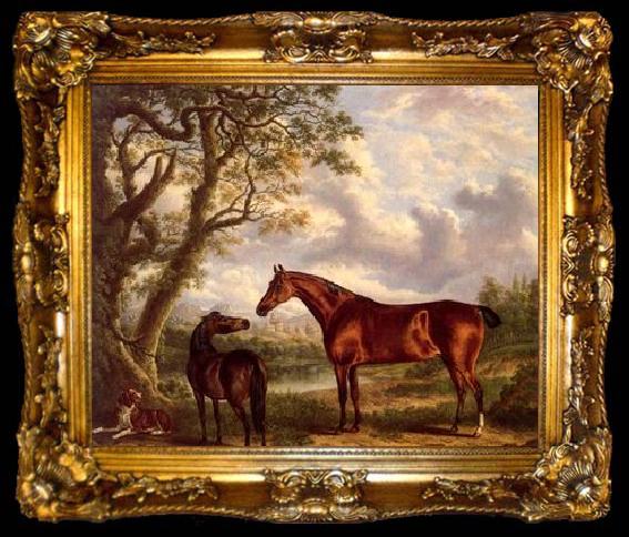 framed  unknow artist Classical hunting fox, Equestrian and Beautiful Horses, 224., ta009-2